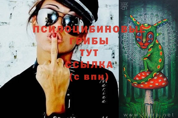 стафф Баксан
