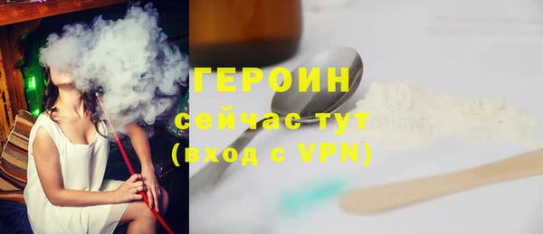 индика Няндома