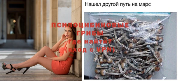 стафф Баксан