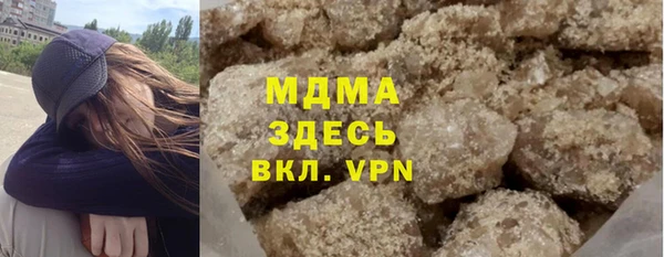 индика Няндома